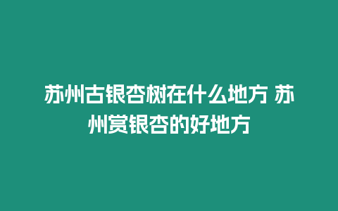 蘇州古銀杏樹(shù)在什么地方 蘇州賞銀杏的好地方