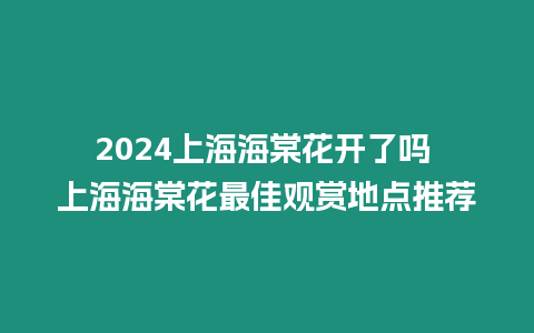 2024上海海棠花開了嗎 上海海棠花最佳觀賞地點推薦