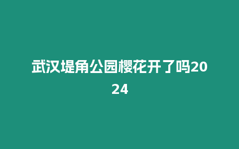 武漢堤角公園櫻花開了嗎2024