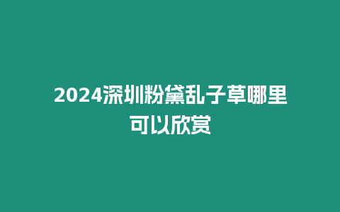 2024深圳粉黛亂子草哪里可以欣賞