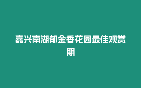 嘉興南湖郁金香花園最佳觀賞期