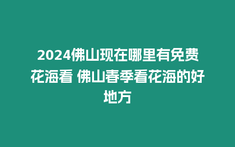 2024佛山現在哪里有免費花?？?佛山春季看花海的好地方