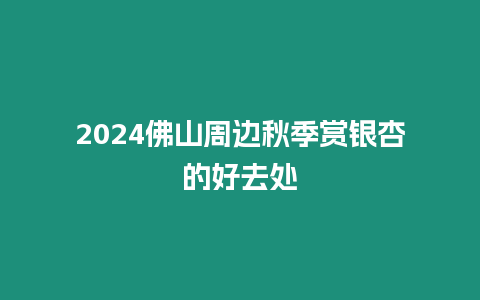 2024佛山周邊秋季賞銀杏的好去處