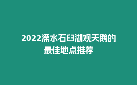 2024溧水石臼湖觀天鵝的最佳地點推薦