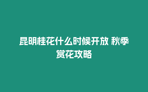 昆明桂花什么時候開放 秋季賞花攻略