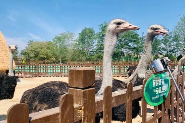 2024蘭州野生動(dòng)物園門票多少一張 怎么走