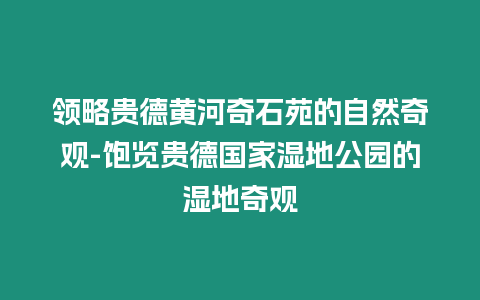 領(lǐng)略貴德黃河奇石苑的自然奇觀-飽覽貴德國家濕地公園的濕地奇觀