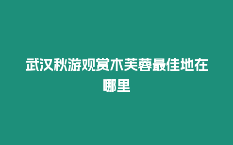 武漢秋游觀賞木芙蓉最佳地在哪里