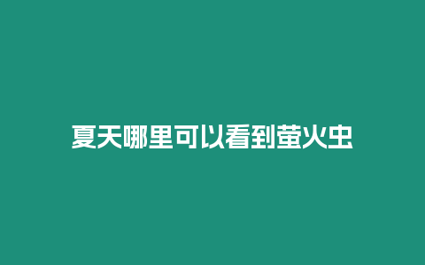 夏天哪里可以看到螢火蟲