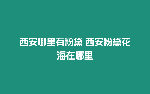 西安哪里有粉黛 西安粉黛花海在哪里