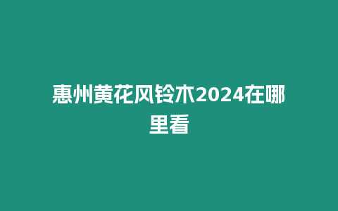 惠州黃花風(fēng)鈴木2024在哪里看