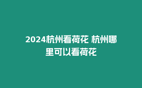 2024杭州看荷花 杭州哪里可以看荷花