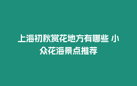 上海初秋賞花地方有哪些 小眾花海景點推薦