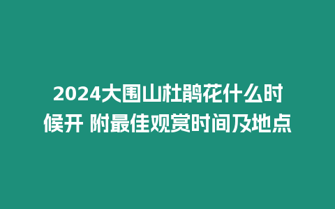 2024大圍山杜鵑花什么時候開 附最佳觀賞時間及地點