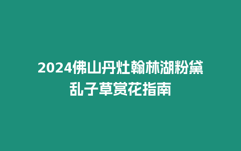 2024佛山丹灶翰林湖粉黛亂子草賞花指南