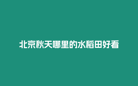 北京秋天哪里的水稻田好看