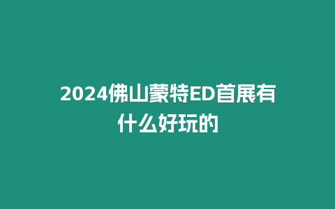 2024佛山蒙特ED首展有什么好玩的