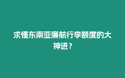 求懂東南亞廉航行李額度的大神進？