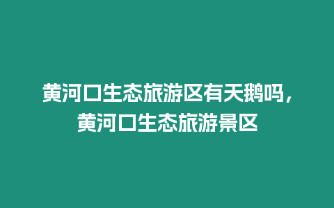 黃河口生態旅游區有天鵝嗎，黃河口生態旅游景區