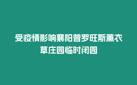 受疫情影響襄陽普羅旺斯薰衣草莊園臨時閉園