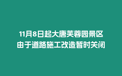 11月8日起大唐芙蓉園景區(qū)由于道路施工改造暫時(shí)關(guān)閉