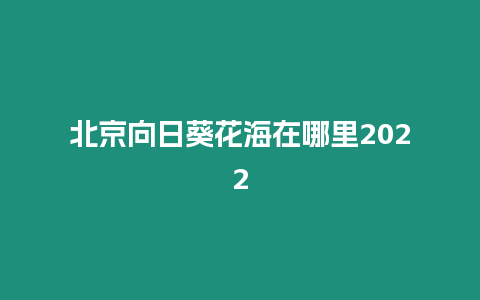 北京向日葵花海在哪里2024