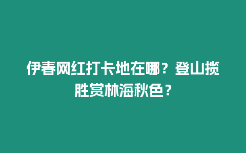 伊春網(wǎng)紅打卡地在哪？登山攬勝賞林海秋色？