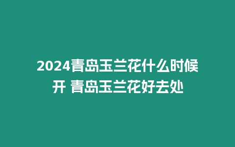 2024青島玉蘭花什么時候開 青島玉蘭花好去處