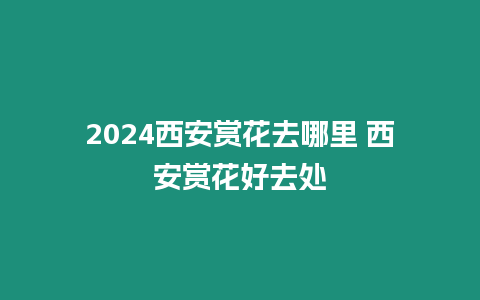 2024西安賞花去哪里 西安賞花好去處