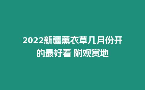 2024新疆薰衣草幾月份開的最好看 附觀賞地