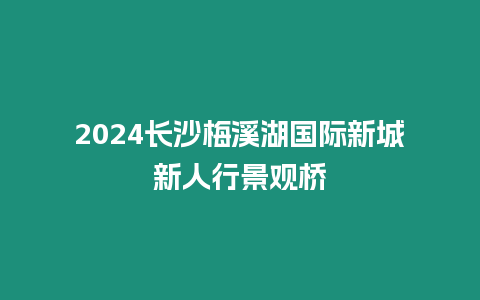 2024長沙梅溪湖國際新城新人行景觀橋