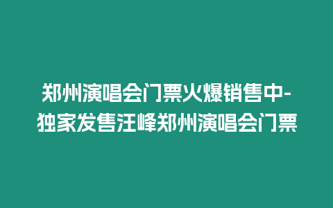 鄭州演唱會門票火爆銷售中-獨家發售汪峰鄭州演唱會門票