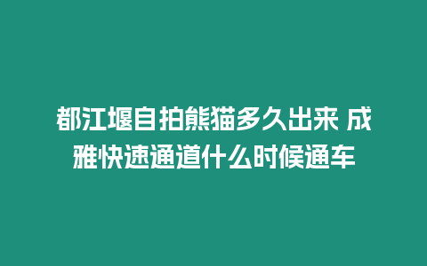 都江堰自拍熊貓多久出來 成雅快速通道什么時候通車