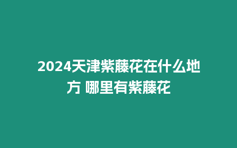 2024天津紫藤花在什么地方 哪里有紫藤花