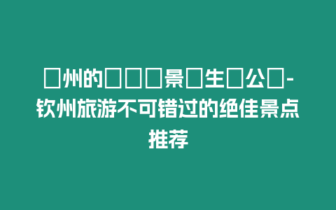 欽州的壯麗風(fēng)景與生態(tài)公園-欽州旅游不可錯(cuò)過的絕佳景點(diǎn)推薦