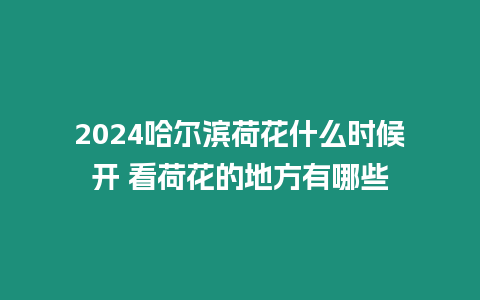 2024哈爾濱荷花什么時候開 看荷花的地方有哪些