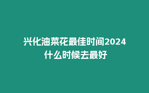 興化油菜花最佳時間2024 什么時候去最好