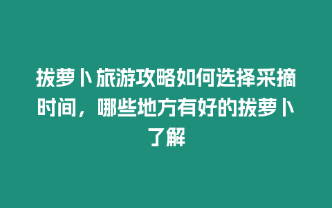 拔蘿卜旅游攻略如何選擇采摘時間，哪些地方有好的拔蘿卜了解