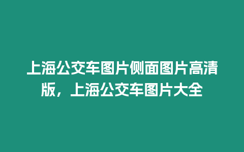 上海公交車圖片側面圖片高清版，上海公交車圖片大全