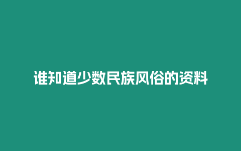 誰知道少數民族風俗的資料