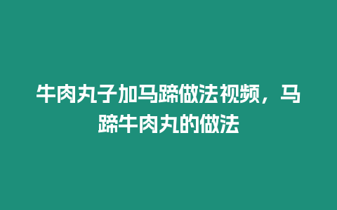 牛肉丸子加馬蹄做法視頻，馬蹄牛肉丸的做法