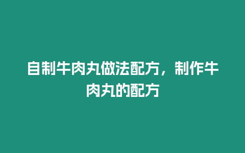 自制牛肉丸做法配方，制作牛肉丸的配方