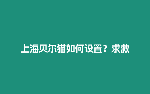 上海貝爾貓如何設置？求救