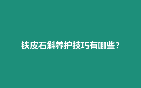 鐵皮石斛養護技巧有哪些？