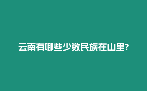 云南有哪些少數(shù)民族在山里?