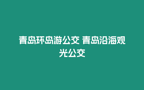 青島環(huán)島游公交 青島沿海觀光公交