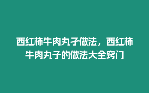 西紅柿牛肉丸孑做法，西紅柿牛肉丸子的做法大全竅門