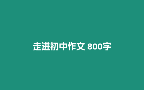 走進(jìn)初中作文 800字