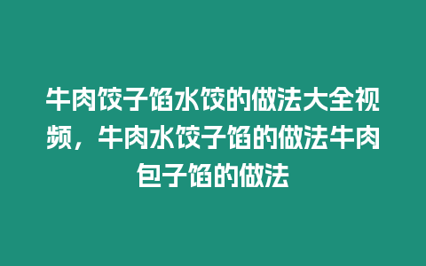 牛肉餃子餡水餃的做法大全視頻，牛肉水餃子餡的做法牛肉包子餡的做法