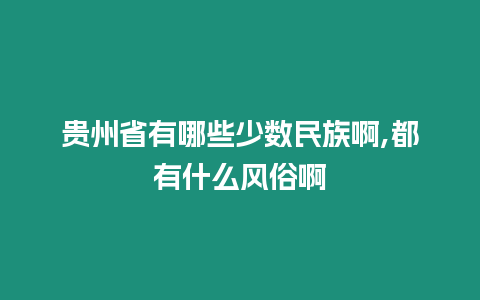 貴州省有哪些少數民族啊,都有什么風俗啊